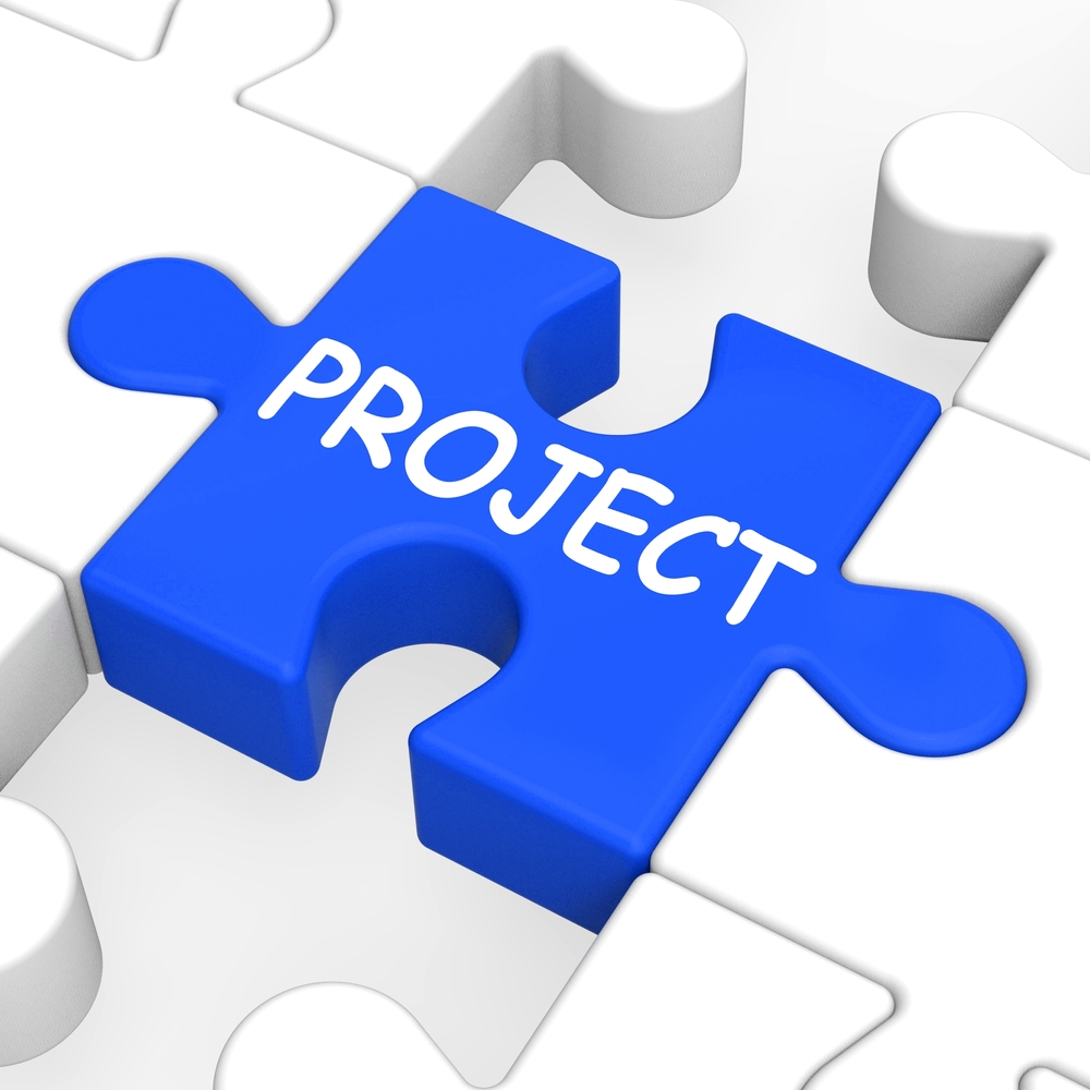 Project Puzzle Blue and White