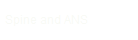 Spine and ANS